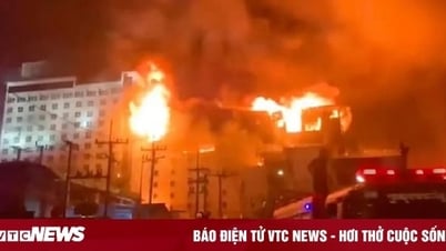 カンボジアのナイトクラブ火災、ベトナム人2人死亡