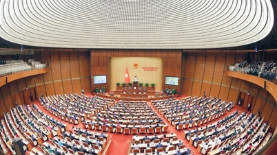 第15代国会は第5回臨時会を開催しようとしている。