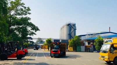 อุตสาหกรรมเบียร์เผชิญความยากลำบาก โรงงาน Heineken Quang Nam หยุดดำเนินการชั่วคราว