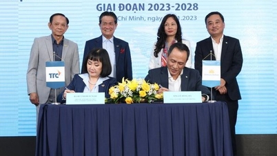 Vietnam Airlines and TTC Group sign comprehensive cooperation agreement