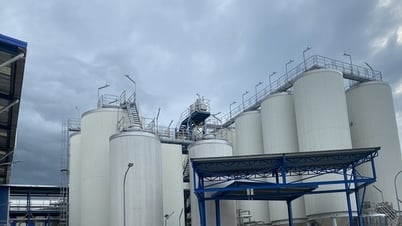 Heineken tạm dừng nhà máy tại Quảng Nam do doanh số sụt giảm liên tục
