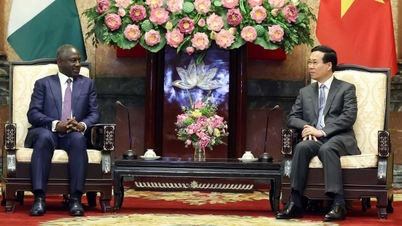 President Vo Van Thuong receives President of the Ivory Coast National Assembly Adama Bictogo