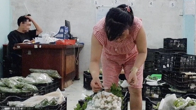 Phanh phui rau VietGAP dỏm điều cốt lõi là phản ánh được những trăn trở của xã hội