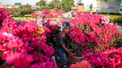 ផ្លូវ​នៅ​តាម​ប្រឡាយ Tham Luong មាន​ភាព​ត្រចះត្រចង់​ក្នុង​ឱកាស​បុណ្យ​ចូល​ឆ្នាំ
