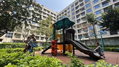 Dồn lực thực thi chính sách nhà ở, đất đai