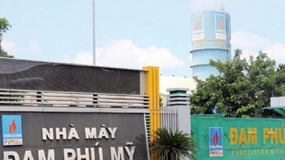 ប្រាក់ចំណេញកើនឡើង 37%, Phu My Fertilizer (DPM) ហៀបនឹងចំណាយជាង 780 ពាន់លានដុងដើម្បីបង់ភាគលាភនៅឆ្នាំ 2023