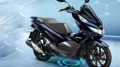 Một số chiếc xe máy điện bạn nên sở hữu