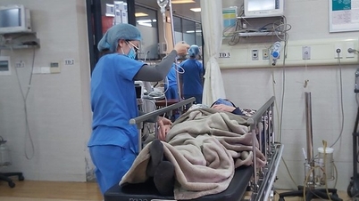 Nhiều người già nhanh chóng trở nặng dù triệu chứng bệnh mờ nhạt