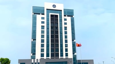 Giảng viên bị xếp không hoàn thành nhiệm vụ vì chưa học tiến sĩ: Có phù hợp?