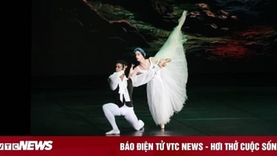 National Ballet of Cuba celebrates 60 years since first performance in Vietnam
