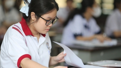 Global English proficiency is declining, Vietnam's ranking has dropped dramatically