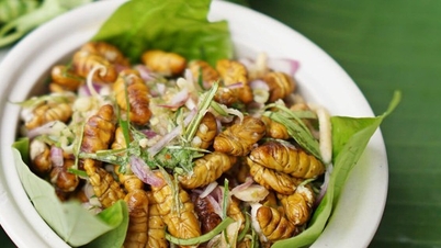 មុខម្ហូប៥មុខដែលប្រជាជនវៀតណាមស្គាល់ច្បាស់