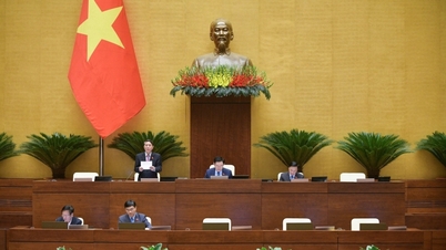 This morning, the National Assembly will vote to pass the Resolution on the state budget estimate for 2024.