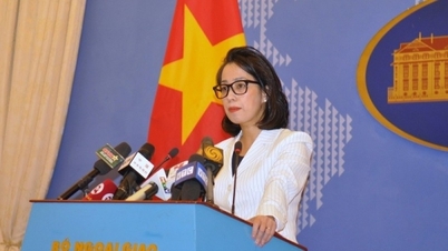 វៀតណាម​ប្រឆាំង​នឹង​ការ​ប្រើ​កម្លាំង​ប្រឆាំង​នឹង​កប៉ាល់​នេសាទ​វៀតណាម​ដែល​ធ្វើ​ការ​ធម្មតា​នៅ​សមុទ្រ។