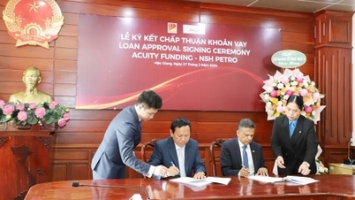 Acuity Funding វិនិយោគ 720 លានដុល្លារអាមេរិក ដើម្បីអភិវឌ្ឍគម្រោង 8 របស់ NSH Petro