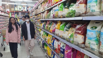 Nhu cầu tăng, giá gạo xuất khẩu cao chót vót, thị trường trong nước ổn định