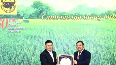 Chủ tịch Quốc hội Lào thăm Công ty CP Phân bón Bình Điền