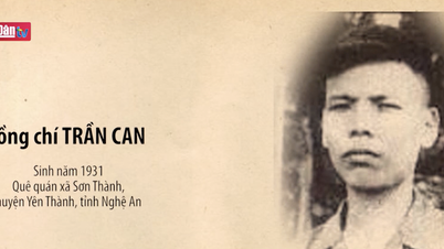 Anh hùng Liệt sĩ Trần Can - Người cắm cờ trên căn cứ Him Lam