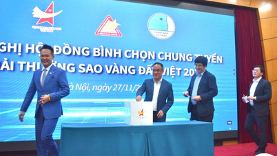 À l'issue de la finale, le prix Golden Star du Vietnam 2024 a sélectionné les « meilleurs »