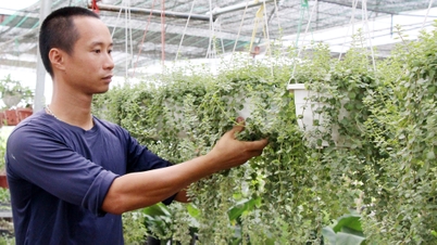 Trợ lực thanh niên làm kinh tế |=> Đăng trên báo Bắc Giang