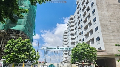 Strive to complete about 30,671 social housing apartments by 2025