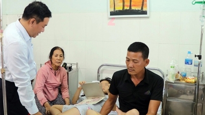 Number of cases up to 345, pathogen identified