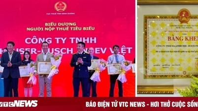 AB InBev Vietnam honorée en tant que contribuable exemplaire 2020-2022