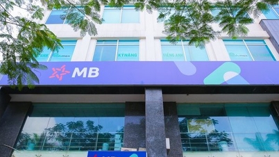 ប្រាក់ចំណេញរបស់ MB ធ្លាក់ចុះ 11% នៅក្នុង Q1/2024