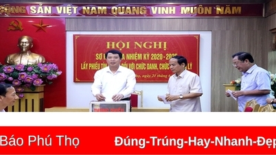 Ban Tổ chức Tỉnh ủy lấy phiếu tín nhiệm chức danh, chức vụ lãnh đạo và quản lý