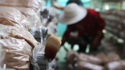 Nấm Mối Đen Uyên Khang: Khẳng định thương hiệu nhờ sàn thương mại điện tử