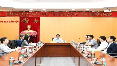 Bộ trưởng, Chủ nhiệm Hầu A Lềnh chủ trì họp giao ban Lãnh đạo Ủy ban tuần 8 năm 2024