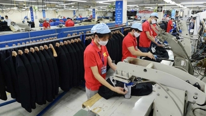 Exportación de bienes: centrarse en el camino hasta la meta