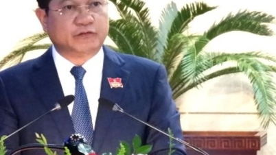 លោក Tran Phuoc Son ទទួលបន្ទុកក្រុមប្រឹក្សាប្រជាជនទីក្រុង Da Nang។