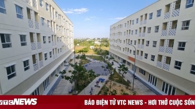 Giá nhà đắt đỏ, dân khó mua: Chuyên gia hiến kế tăng cho thuê nhà ở xã hội