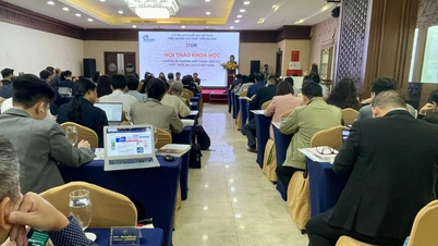 ជំរុញការវិនិយោគលើការអភិវឌ្ឍន៍ទេសចរណ៍នៅវៀតណាម
