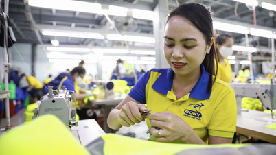 Hơn 70% người Việt Nam ở nước ngoài muốn về làm việc tại quê hương