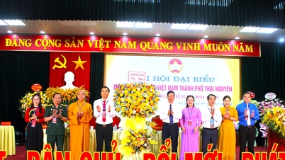 លោក Mai Hai Trung បន្តធ្វើជាប្រធានគណៈកម្មាធិការរណសិរ្សមាតុភូមិនៃទីក្រុង Thai Nguyen។