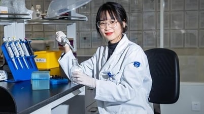 29-year-old PhD graduate receives professor-like treatment