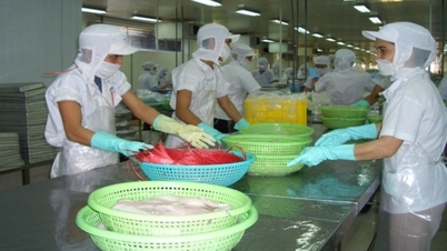 Bất chấp khoảng cách địa lý, Mexico đứng đầu khối CPTPP về nhập khẩu cá tra Việt Nam