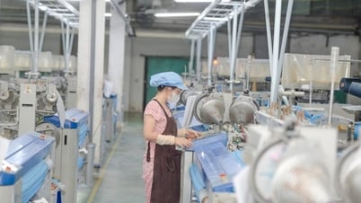 Dệt may và giày dép sẽ có trung tâm nguyên liệu thô