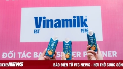 Vinamilk sponsorise « 132 kg de protéines » pour les 11 000 coureurs du marathon VnExpress de Hanoi