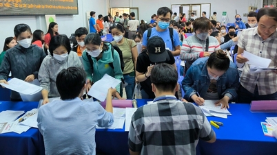 Việc làm Tết: Tuyển 1.000 lao động nhưng chỉ 3 người nộp hồ sơ