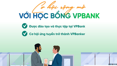 VPBank が若い才能を引き付けるのに役立つ戦略を解読する