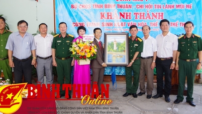បញ្ជាការដ្ឋានយោធាខេត្ត Binh Thuan ប្រគល់សម្ភារៈវប្បធម៌ និងកីឡា