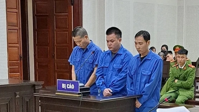 3 bị cáo chặn đường đánh lái xe ở Quảng Ninh lĩnh án