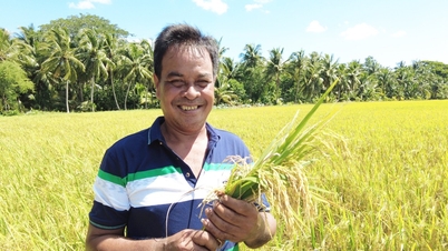 ជំរុញដំណើរការ "កសិករបញ្ញវន្ត"