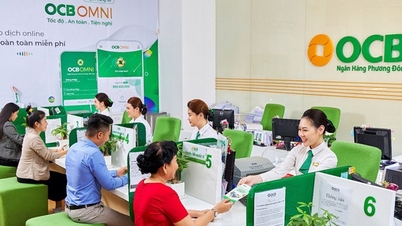 OCB ទាក់ទាញ 2,500 ពាន់លានដុងទៀតពីឆានែលសញ្ញាប័ណ្ណ