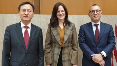 US-Japan-Korea High-Level Cyber ​​Consultative Group Officially Established