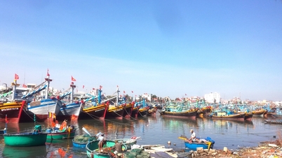 ប្រសិនបើវៀតណាមទទួលបាន 'កាតក្រហម' របស់ IUU នោះ ការនាំចេញគ្រឿងសមុទ្រទៅកាន់ EU នឹងមិនមានបញ្ហាអ្វីឡើយ។