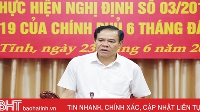 ណែនាំ និងដោះស្រាយភ្លាមៗនូវបញ្ហាដែលកើតឡើងនៅតំបន់ Ha Tinh។